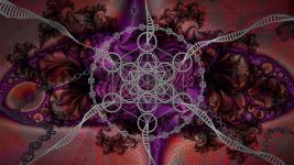 Nexus-Rough-03.jpg