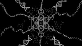 Nexus-Rough-03b.jpg