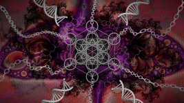 Nexus-Rough-03c.jpg