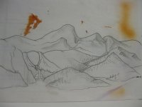 IMG_2243.JPG