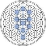 220px-Tree-of-Life_Flower-of-Life_Stage.jpg