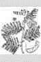 acil2_001_tvd.jpg