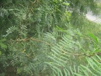 IMG_3743.JPG