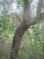 IMG_3744.JPG