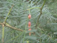 IMG_3745.JPG