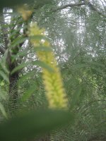 IMG_3747.JPG
