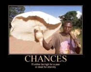 404142318-chances_mushroom.jpg