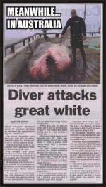 aussie+diver.jpg