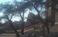 ancient+temple+acacias1.jpg