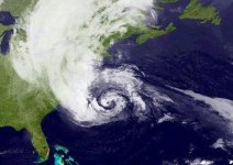sandy.jpg