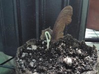 20121109_213656_07981.jpg