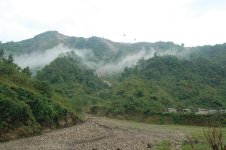 A+catechu+forest%2C+Nepal.jpg