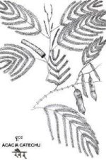Acacai+catechu+fig.JPG