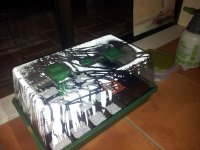 06_seedlingtray.jpg
