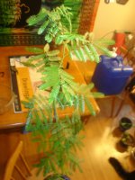 DSC05005.JPG