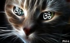 Om+Cat.jpg