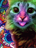 Trip+Cat.gif