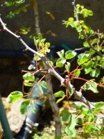 P1000839edit.JPG