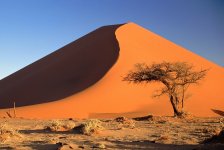 Sand-Dunes-And-Acacia+Tree-Namib-Desert-Namibia.jpg