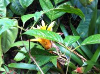 IMG_0239.JPG