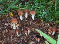 100_7454.JPG