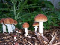 100_7457.JPG