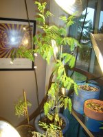 DSC05052.JPG