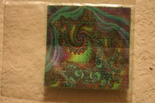 IMG_7273.JPG