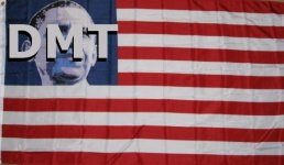 obamadmtamericanflag.jpg