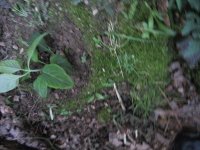 IMG_1442.JPG