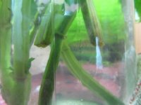 IMG_1504.JPG