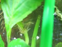 IMG_1524.JPG