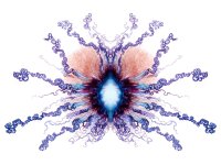 Zooid-1283.jpg