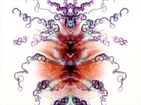 Zooid-1641.jpg