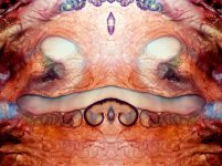 Zooid-1653.jpg
