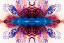 Zooid-1857.jpg