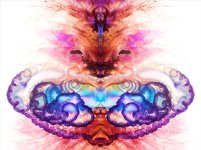 Zooid-1880.jpg