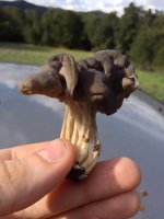 IMG_0183.jpg