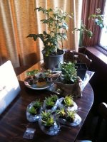 garden+1.jpg