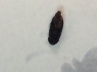 photo.JPG