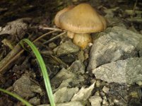 WP_000449.jpg