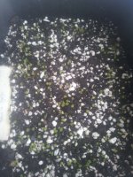 20130716_200728.jpg