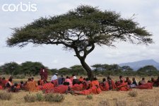 Masai+men+under+Acacia.jpg