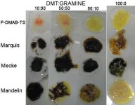 Reagents-DMT-Gramine.jpg