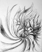 unknown6.jpg