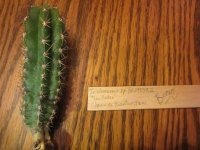 IMG_1843.JPG