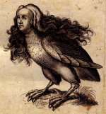 harpy.jpg