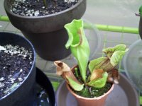 IMAG0104.JPG