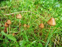 DSCN3672.JPG