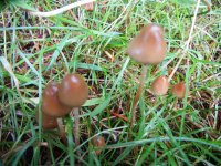 DSCN3673.JPG